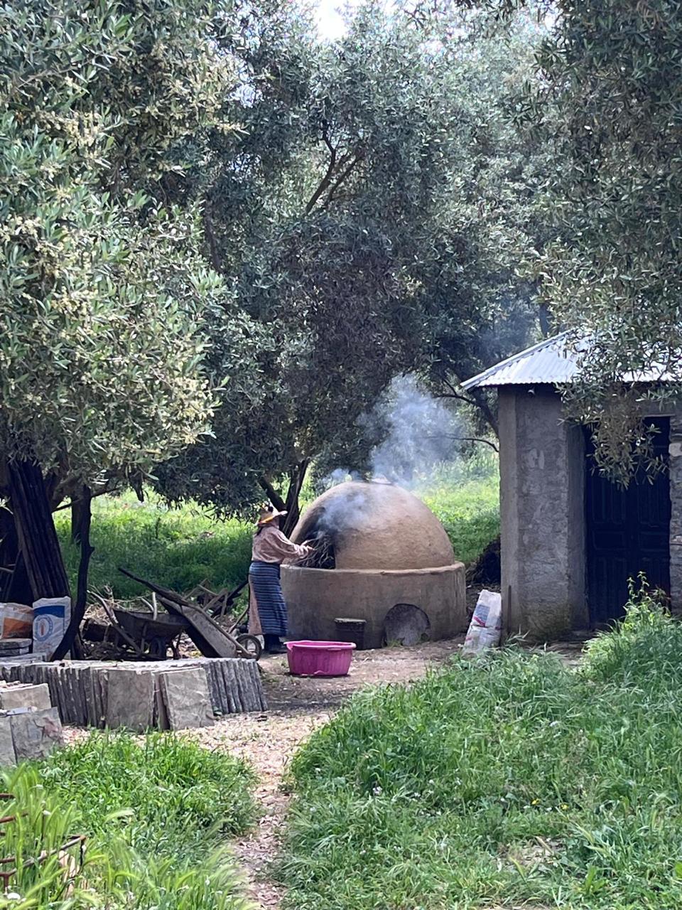 Chefchaouen Tour from Tangier